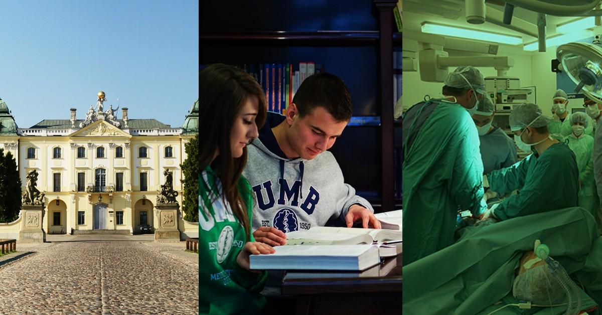 University Academic Calendar Balancing Study and Activities
